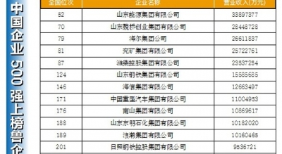 50家鲁企进中国企业500强 山东能源居全省之首
