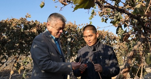 山东产业援疆这些年丨郁茏生物科技有限公司：齐鲁“神农”上天山 产业兴疆建伟业