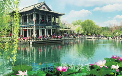 “绿城”“花城”建设三年行动方案出台 济南将新建城市公园388个，形成“千园之城”