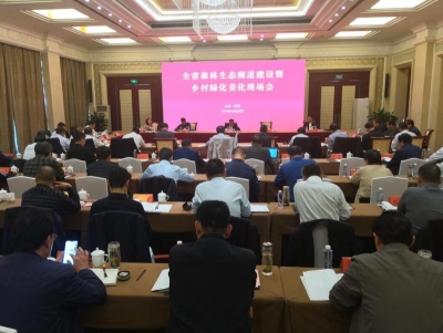 山东近三年完成造林548万亩，将建立林地占补平衡制度