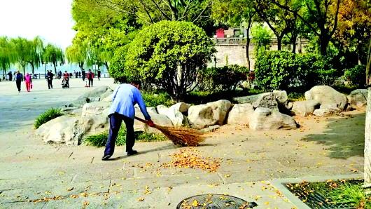 济南市民：留住最美秋天，落叶缓扫几日？各景区这样回应…