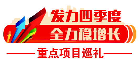 资金政策随项目走 山东1188个项目完成投资2943亿元