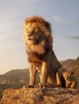 第1集 狮子的“解放”之路
