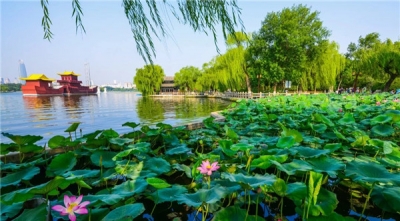 一核、一极、三区！济南，一座现代化医养名城正崛起成峰