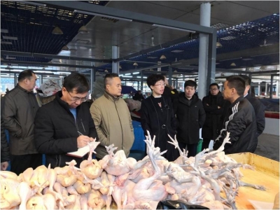 山东1月26日起全面暂停在市场进行活禽交易和宰杀