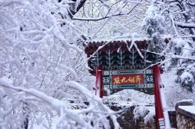 大雾+寒潮+道路结冰！济南多重预警“抱团”！出行请注意