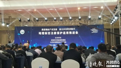 连续9年居全国第一，山东省地理标志商标已达737件