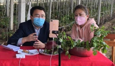 “齐”心“鲁”力|滞销怎么办？山东助推农产品线上销售解难题