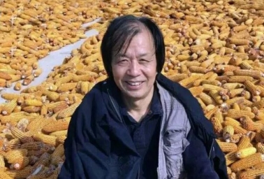 名师推荐：张锡杰讲授《梅》的画法
