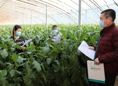 丰富“菜篮子” 鼓起“米袋子”——农行山东分行助力保障农产品生产和供应