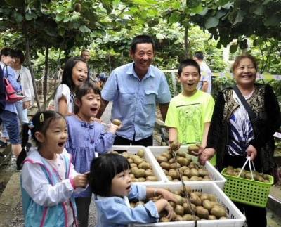 农行山东分行划出今年服务三农重点