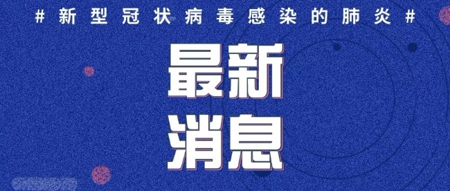 2020年2月4日12时至24时山东省新型冠状病毒感染的肺炎疫情情况