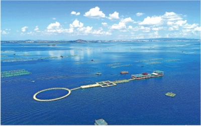 山东：经略海洋，向海图强风帆劲
