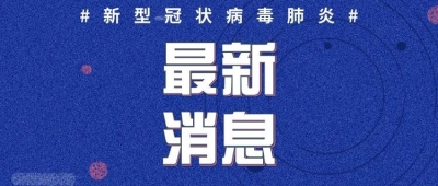 2020年3月10日12时至24时山东省新型冠状病毒肺炎疫情情况