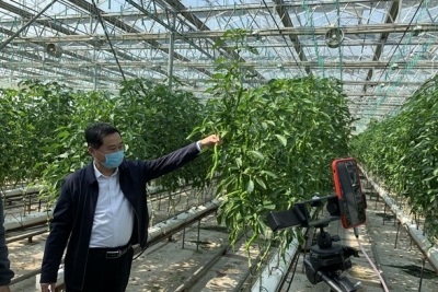 这就是山东|网络直播、线上揽客，山东各地深化“乡村赋能”打赢脱贫攻坚战