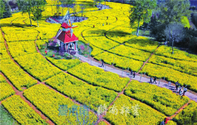 济南设旅游地接奖励扶持专项资金 组织旅游专列来济每专列最高奖3万元