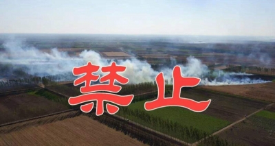 4月3日至5月31日 济南全市严禁露天焚烧