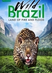 野性的巴西 : 第1集 危险的世界
