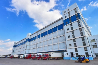 东南亚火龙果首次海运入鲁 山东港口布局冷链“新基建”
