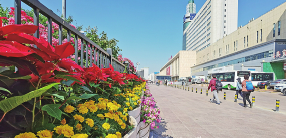 花景大道、花漾街区扮靓环境 济南这座城市的颜值，越来越高啦！