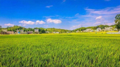 2020年全国农业产业强镇建设名单公布，山东16个