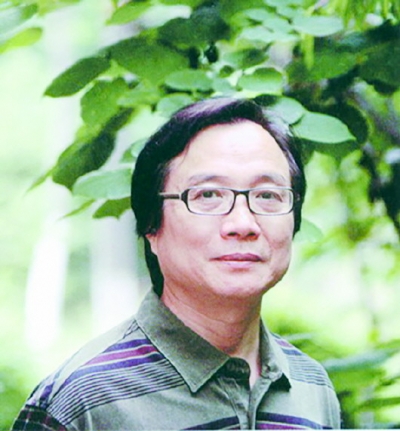 《盛夏和谐》图画时代  