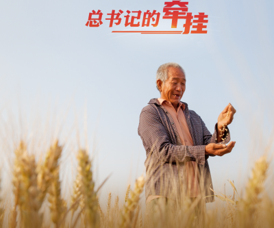 “报”告|总书记的牵挂，我们用美丽的丰收画卷作答