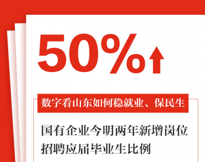 闪电海报丨这组数字告诉你，山东如何稳就业、保民生