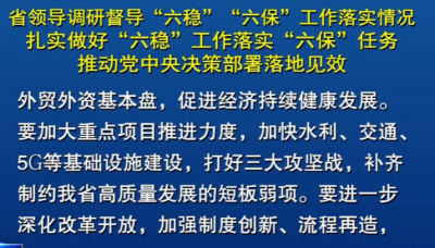 山东省领导调研督导“六稳”“六保”工作落实情况