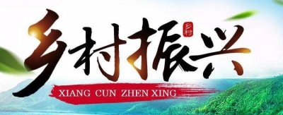 肉蛋奶菜果都是全国第一，山东农业真不是“盖”的