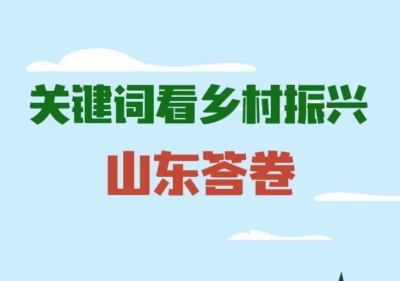 政能量｜关键词看乡村振兴“山东答卷”