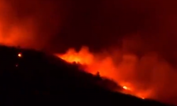 美科罗拉多州发生史上最大野火 超8万公顷土地被毁