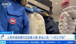 上海市消保委约谈加拿大鹅 参会人员“一问三不知”