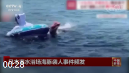 日本海水浴场海豚袭人事件频发
