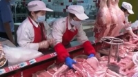 国家发改委：本周将投放今年第三批中央猪肉储备
