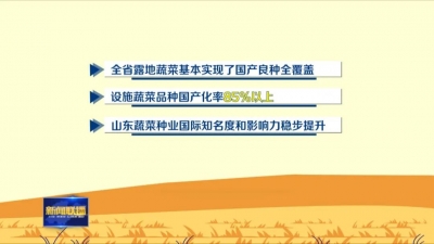 山东：全力打赢育种翻身仗 “菜篮子”安上中国“芯” | 新时代新征程新伟业·坚定不移推动高质量发展