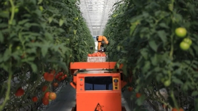 新时代新征程新伟业·坚定不移推动高质量发展丨山东：发挥协同创新优势 给农业插上科技的翅膀 