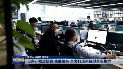 强信心 稳经济 促发展 | 山东：梯次培育 精准服务 全力打造科技型企业集群