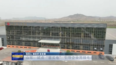 强信心 稳经济 促发展丨山东：试点“慧买电” 引导企业用绿电得实惠