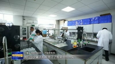 强信心 稳经济 促发展 | 山东：厚植发展沃土 助力民营经济“枝繁叶茂”