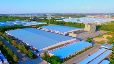强信心 稳经济 促发展 | 向闲置低效土地要效能