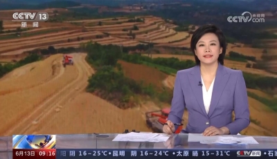 全国麦收重点向北推进至山东山西河北等省