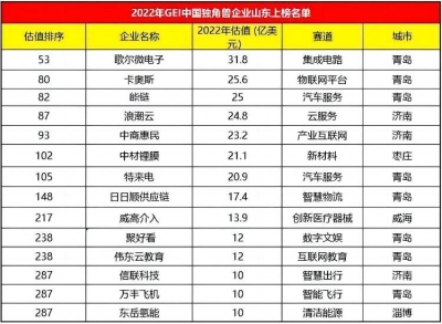 “独角兽”榜单发布：山东14家企业上榜，青岛成省内最大赢家 