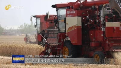 护航“三夏”生产丨山东：小麦收获过半 机收减损促颗粒归仓