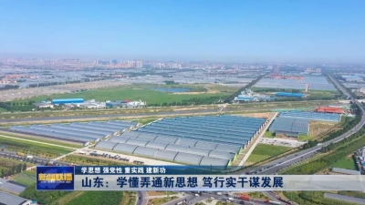 学思想 强党性 重实践 建新功 | 山东：学懂弄通新思想 笃行实干谋发展