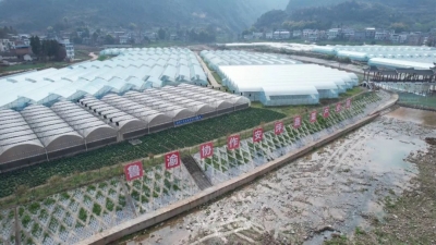 东西协作促发展 鲁渝携手强产业