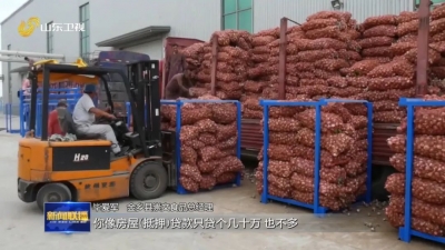 打造乡村振兴齐鲁样板 | 山东：健全农村金融服务体系 精准支持农业特色产业