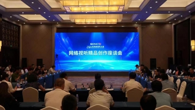 山东网络视听精品创作座谈会 在临沂召开