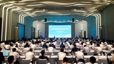 山东省决策咨询委员会成立