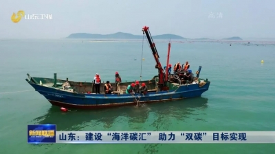 山东：建设“海洋碳汇” 助力“双碳”目标实现